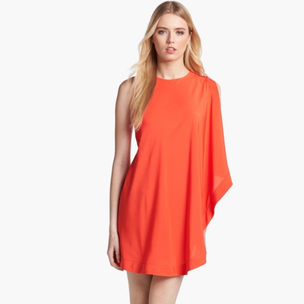 Ted Baker London Dress